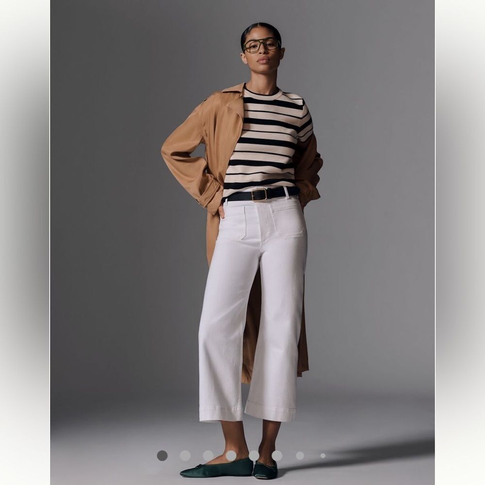 Anthropologie The Colette Cropped Wide-Leg by Maeve Size 29